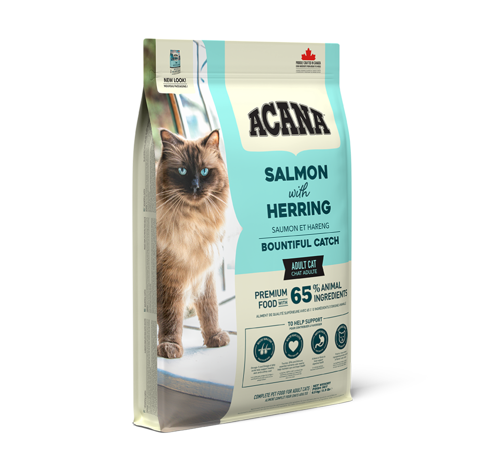 Acana Bountiful Catch Cat sausas pašaras katėms su lašiša ir silke (4,5 kg)