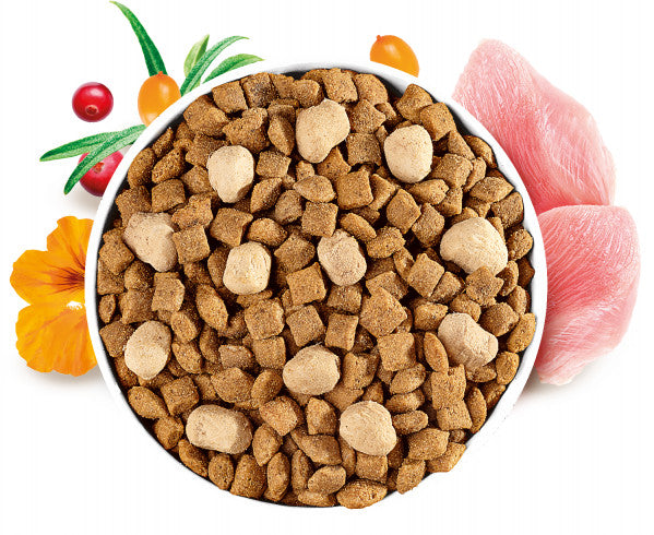 Brit Care Cat Sterilized with Raw Delights sausas pašaras sterilizuotoms katėms su vištiena (2 kg)
